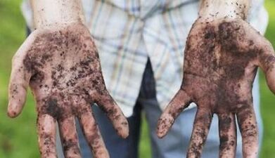 Les causes des vers chez l'homme