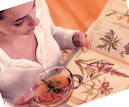 Recettes folkloriques des parasites